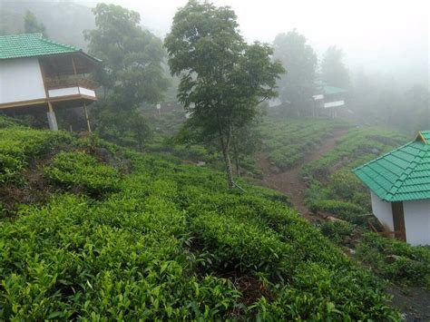 VYTHIRI HILLS (Kerala) - Cottage Reviews & Photos - Tripadvisor