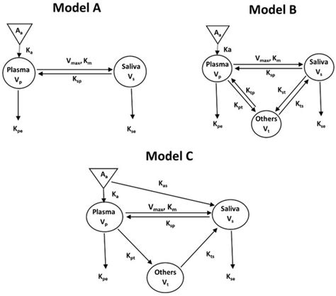 Pharmacokinetic Basis for Using Saliva Matrine Concentrations as a ...