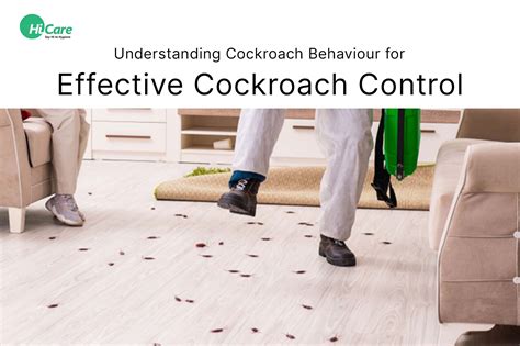 Cockroach Behavior: Understand for Effective Cockroach Control – HiCare ...