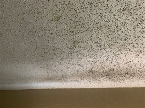 ECONOMY 7 INN- CHESAPEAKE/PORTSMOUTH - Motel Reviews, Photos, Rate ...