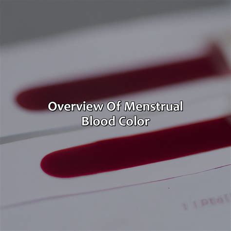 What Does The Color Of Menstrual Blood Mean - colorscombo.com