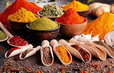 DTC — Herbs • Seeds • Spices | Premium Quality Agro Products