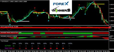 101z winner’s analysis,With a user-friendly interface