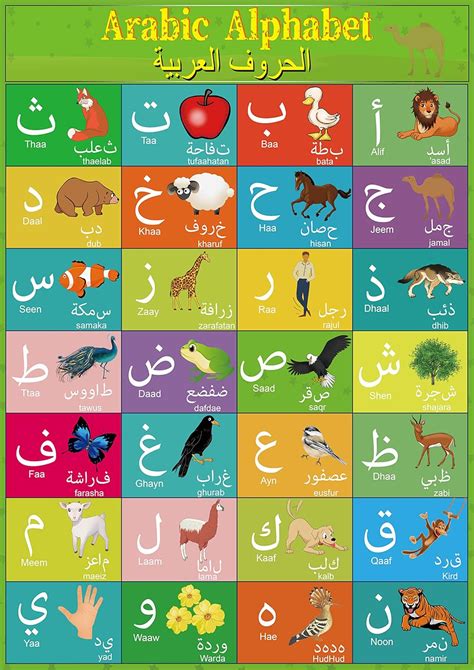 YIYDONG Arabic Alphabet Poster for Kids Arabic Alphabet India | Ubuy