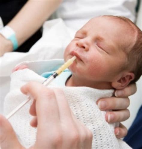 Image result for Colostrum Collection