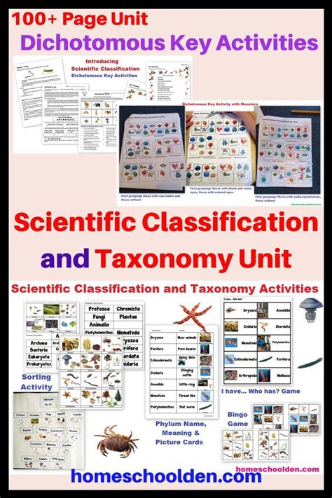 Image result for Scientific Classification