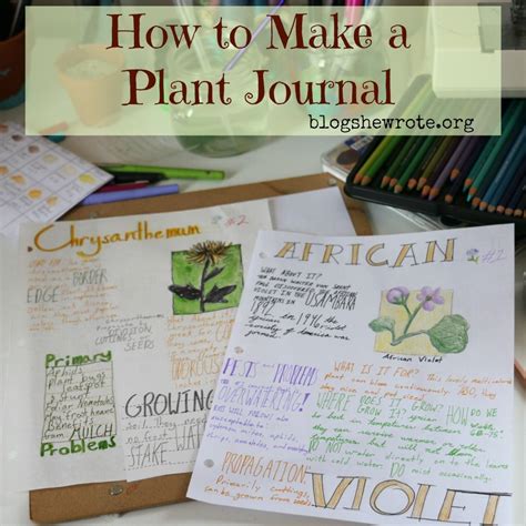 plant journal