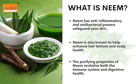 Ayurleaf Herbals Neem Capsules | Herb for Healthy Skin and Hair ...