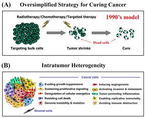 What Are the Reasons for Continuing Failures in Cancer Therapy? Are ...