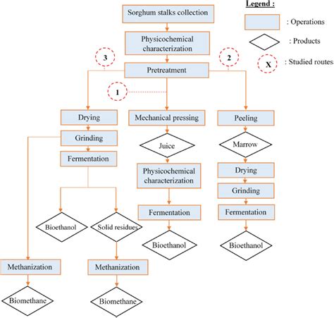Image result for Implementation Science Flow