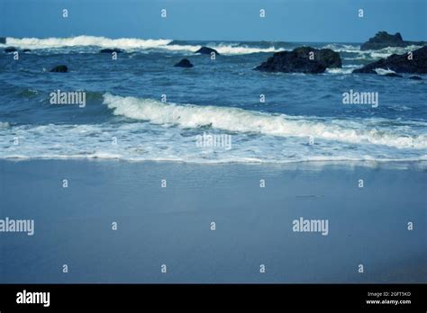 Sea Background 的图像结果