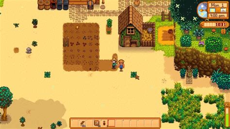Stardew Valley Summer Squash Guide - Grow Time, How To Get & Uses