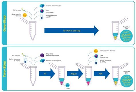 qPCR Method 的图像结果