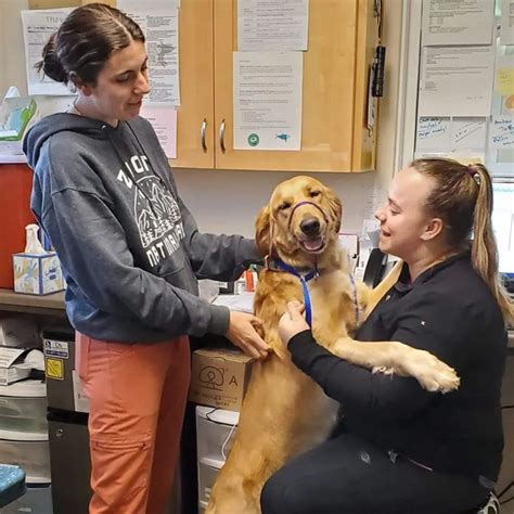 Silverado Veterinary Hospital Tour | Vet Clinic In Napa, CA