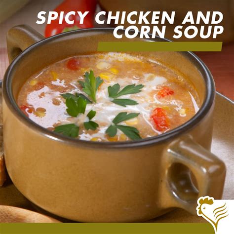 Spicy Chicken & Corn Soup with Grain Field Chickens - Grain Field Chickens