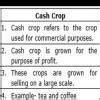 defferece between cash crops and food crops what is the difference tell ...