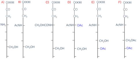 O-Acetyl Sialylation | Encyclopedia MDPI