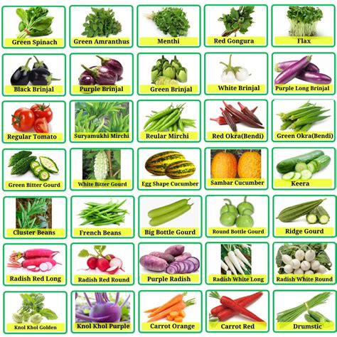 Indian Vegetable Names Chart Buy All Season Veggies Seeds Pack (1