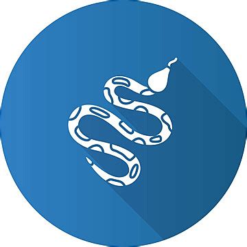 Image result for Python Square Icon.png