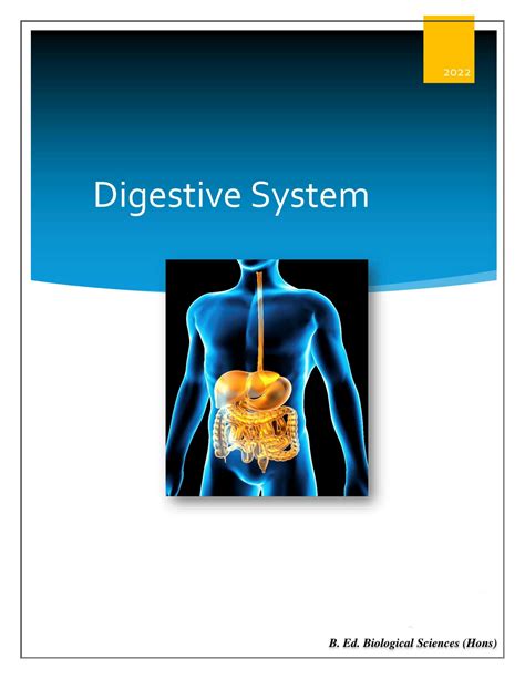 Image result for Lesson On Digestive System