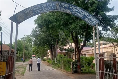 College of Veterinary Science and Animal Husbandry Jabalpur Campus ...