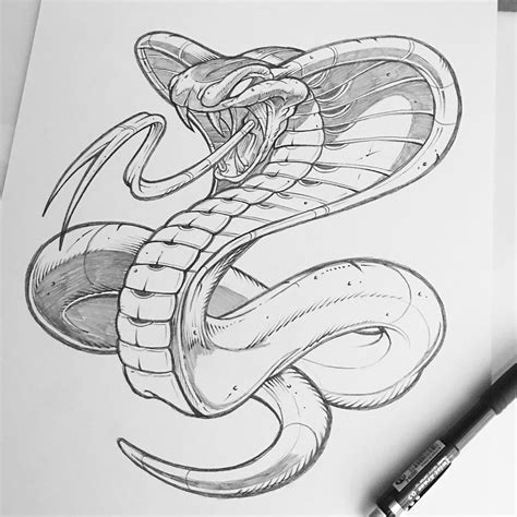 Cobra Tattoo Sketch