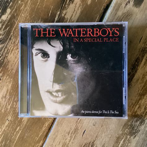 CD COMPACT DISC - The Waterboys – In A Special Place - EUROPE IMPORT ...