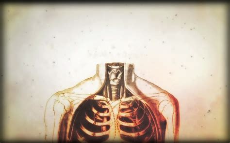 Anatomy and Physiology Wallpapers - 4k, HD Backgrounds on WallpaperBat