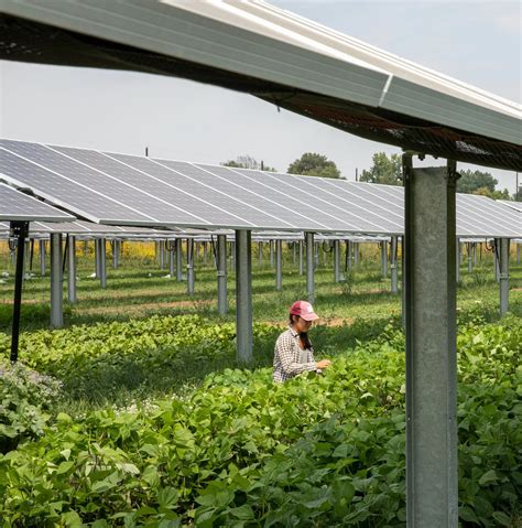 Regenerative Agriculture: A Blueprint for Colorado