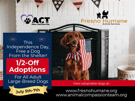 Independence Weekend Special for Adoptions @ Petsmart River Park ...