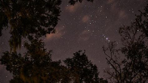 Night Hike in the Preserve, Brooker Creek Preserve & Environmental ...