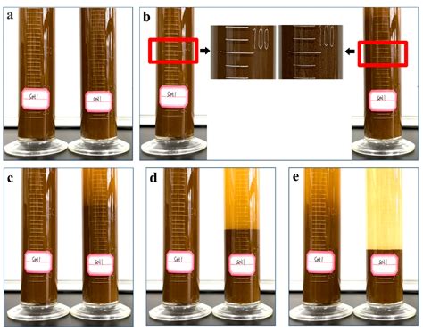 A Poly(Acrylamide-co-Acrylic Acid)-Encapsulated Nitrification Inhibitor ...