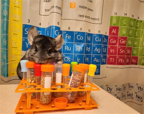 Image result for Happy Lab Week