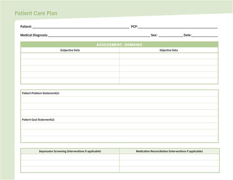 Care Plan Approach Template