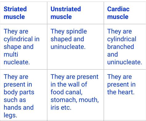 Differentiate between striated unstriated and Cardiac muscles on the ...
