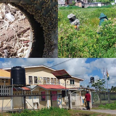 Image result for Tutorial Academy