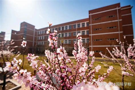 2023年天津国际学校（滨海篇）招生一览表（附学费、招生阶段） - 知乎