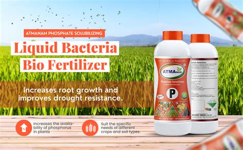 Atmanam Phosphate Solubilizing Bacteria for Plants | Bio Fertilizer for ...