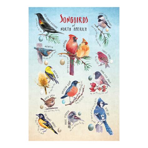 Songbirds Mini Puzzle | Outside Inside Games – GSI Outdoors