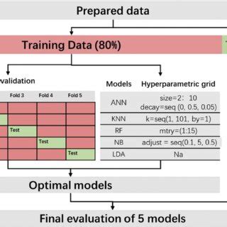 Model Training Process 的图像结果