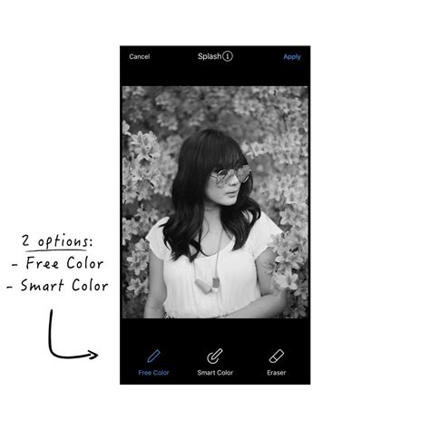 Color Splash App 的图像结果