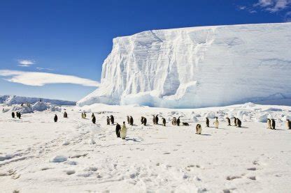 Convert Relative Humidity to Absolute 的图像结果