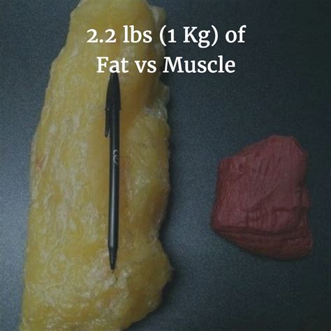 NBA Disney Bubble Restart Scrimmage 1: LA Clippers v. Orlando Magic ...