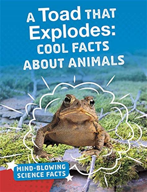 Image result for Toad Explodes