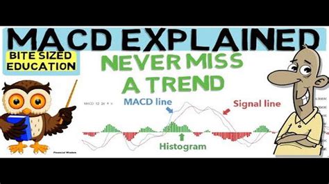 Image result for MACD Videotutorial