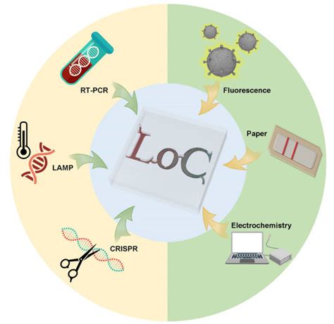 Image result for Point of Care Testing Devices