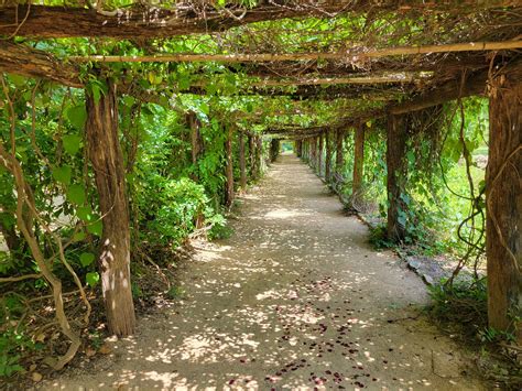 Renovations Coming to Coker Arboretum This Fall - Chapelboro.com