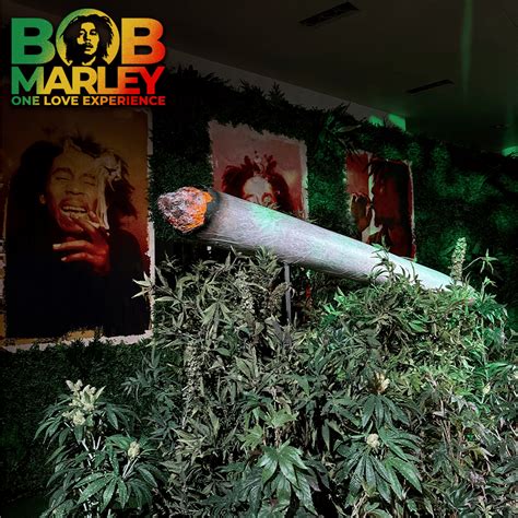 The Interactive Bob Marley One Love Experience Is Finally Open!
