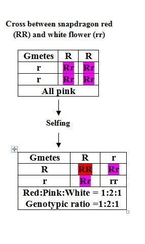 You cross a plant with red flowers with a plant with white flowers ...