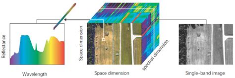 A High Optical Throughput Spectral Imaging Technique Using Broadband ...